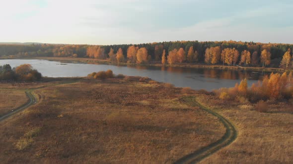 Aerial Top View: Flying Over Beautiful Autumn Bright Forest and Lake on Sunny Day