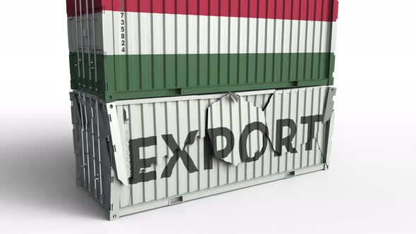 Container with Flag of Hungary Breaks Container with EXPORT Text alt