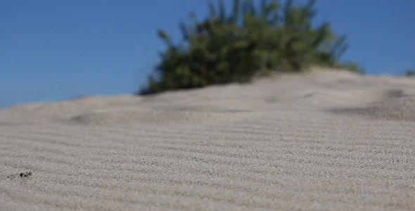 Sand 01