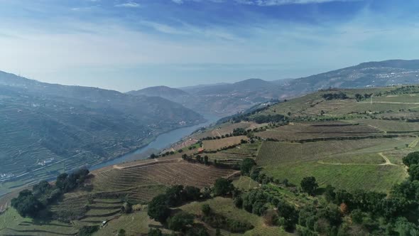 Aerial of Douro Terraced Vineyards in Portugal