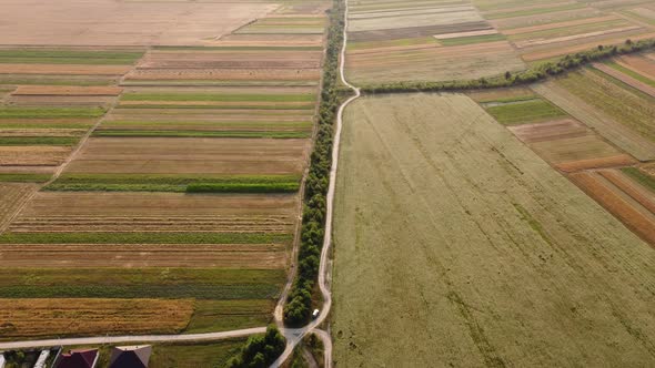 aerial view from the helicopter to the green, gold fields, road. Rural landscape. 4k.