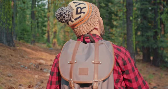 Man in Nature. Outdoor Activities. Back View of Walking Person on Forest Trail