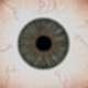 Realistic Eye Texture - 3DOcean Item for Sale