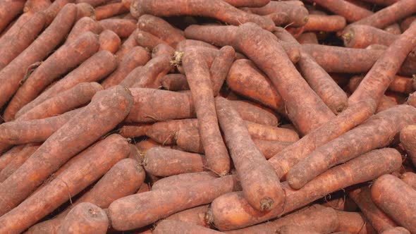 Carrots Closeup on a Store Shelf