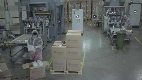 Wide Shot of Factory Producing Food Packaging. Female Workers in Face Masks and Protective Uniform