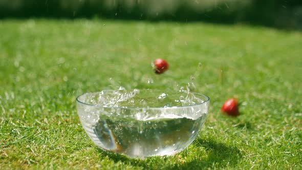 Lots of strawberries on green grass