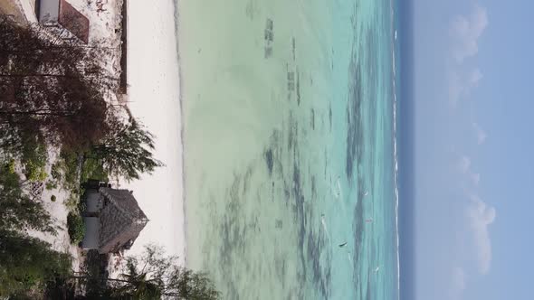 Zanzibar Tanzania  Vertical Video of the Ocean Near the Coast Slow Motion