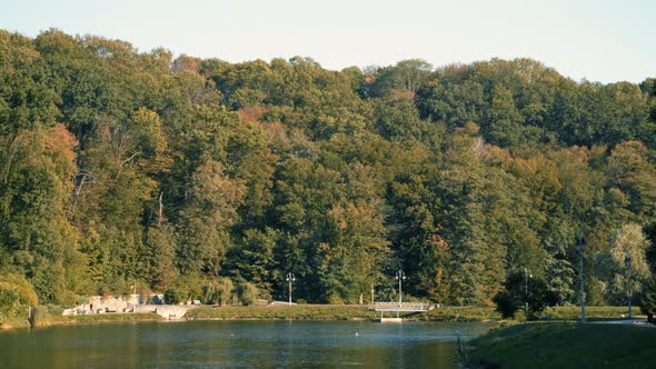 Landscape View on Autumn Golden Trees in a Park