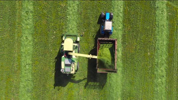 Harvester Collects Mown Grass And Pours It Into Tractor Trailer Aerial View