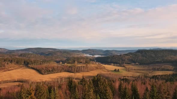 Flying over tall trees with vast landscape