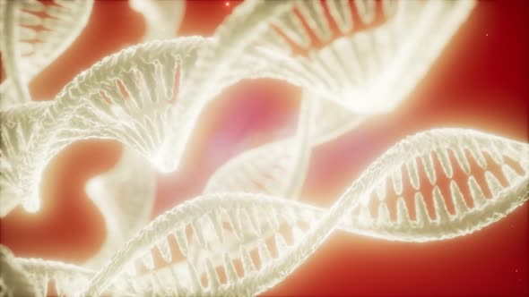 Structure of the DNA Double Helix