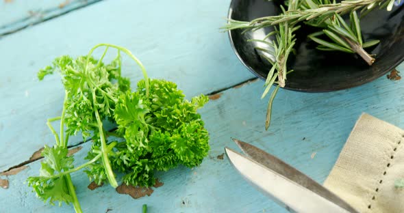 Various herbs, scissors and napkin on wooden table 4k