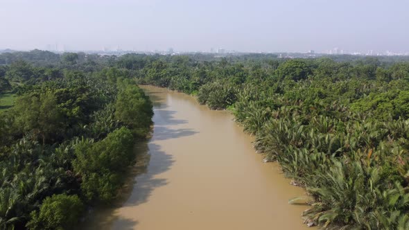 Aerial move at Nipah tree grow at river