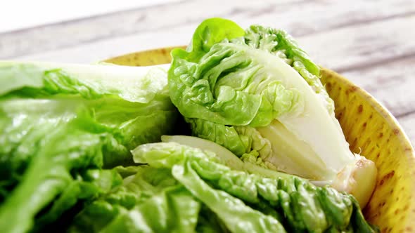 Close-up of lettuce in bowl