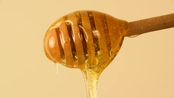 Honey Flowing from Wooden Dipper