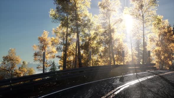 Camera Movement By Road In The Forest And The Sun Shining alt