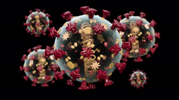 Macro Model Biological Coronavirus Covid 2019 Sars alt