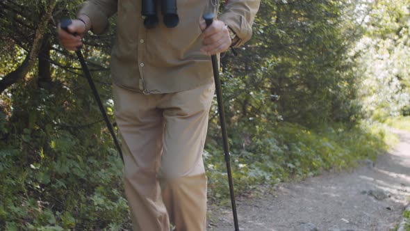 Joyous Senior Man Walking with Poles in Park