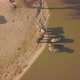 Drone view of elephants drinking water in Botswana - VideoHive Item for Sale