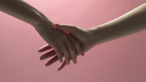Close up of partnership handshake successful after negotiating business on light pink background.