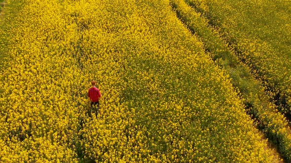 Redhead man standing in mustard field 4k