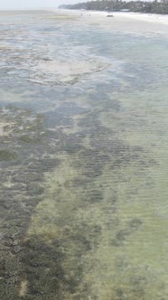 Vertical Video of Low Tide in the Ocean Near the Coast of Zanzibar Tanzania