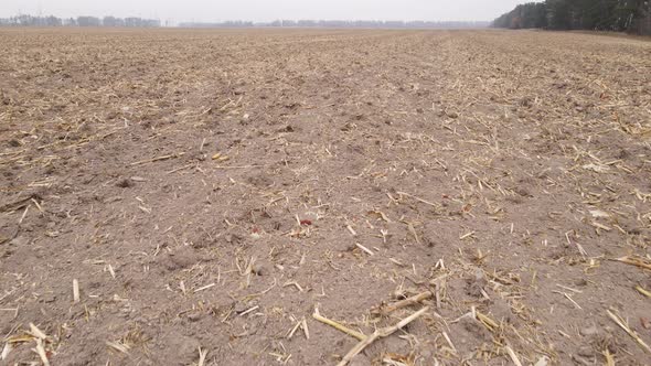 Land in a Plowed Field in Autumn