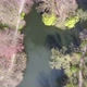 View From Above On A Lake And Trees On Spring - VideoHive Item for Sale