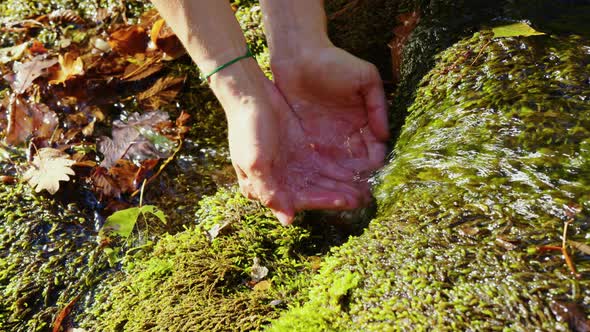 Female Hands Scoop Up Clear Water From Stream