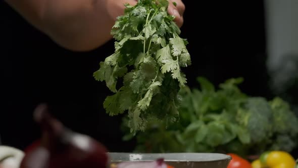 Professional Chef Washes Cilantro Leaves