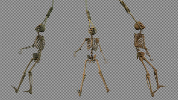 Three Skeleton hanging in Gallows Rope