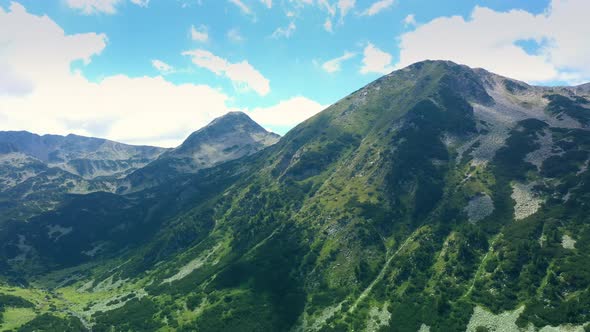 Drone Moving Forward To Pine Woods Forest And Mountain Valley In Summer Day