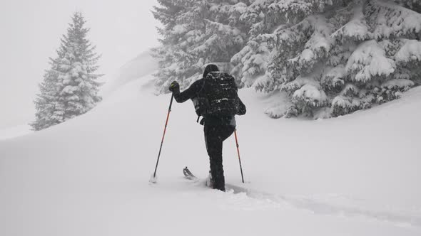 Man Ski Touring In Snow Covered Forest