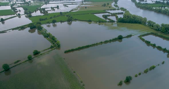 Aerial view of corn field along river Maas, The Netherlands.