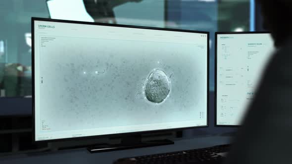 Doctor Uses Innovative Research Interface For Sperm Reproduction System Study alt