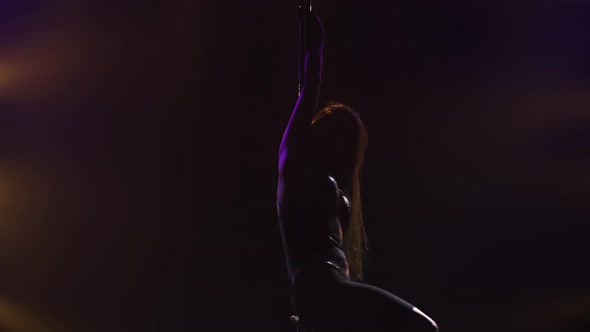 An Exotic Pole Dancer Performs in a Nightclub