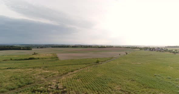 Aerial View of Agricultural Fields and Forest