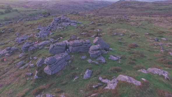 Sheep in Dartmoor National Park at sunset, Devon, England, UK. Aerial drone view