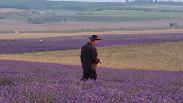 Lavender Farming for Profit