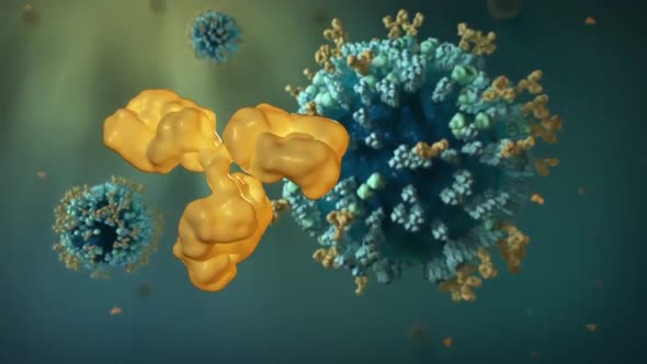 Infected cells and antibodies. 3D Microbiolojy Animation