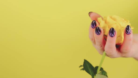 Adult Woman's Hand with Yellow Flower