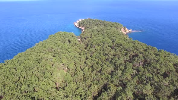 A Real Peninsula Covered With Untouched Natural Pine Forest