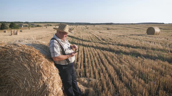 Old Farmer Uses Tablet in the Field Next To Haystack at Sunset. Smart Farming, Using Modern