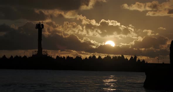 Seagulls and Cormorants Sit on Breakwater