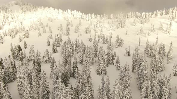 Aerial View of Canadian Nature Landscape on Top of Snow Covered Mountain