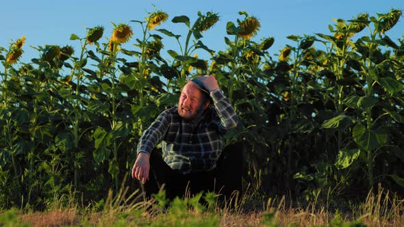 Tired Senior Farmer Farmer Sitting Down Next to a Field of Sunflowers