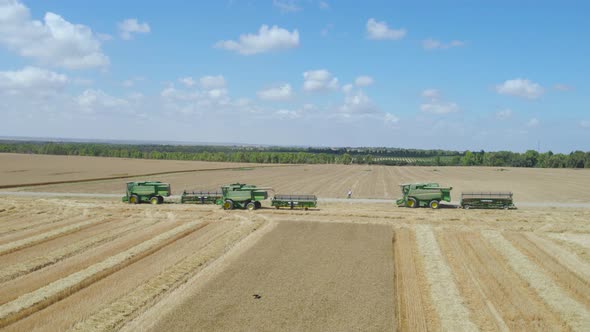 Harvest at kibbutz Alumim, Sdot Negev, Israel