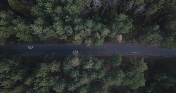 The Drone Takes Off Over a Forest Road with a Bicycle Path with a Speed Limit of 20 Km