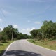 Countryside road view with trees on both sides - VideoHive Item for Sale
