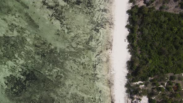 Empty Beach on Zanzibar Island Tanzania